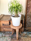 Vintage African Handcarved Light Wooden Senufo Stool