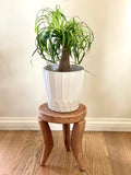 Vintage African Handcarved Light Wooden Senufo Stool